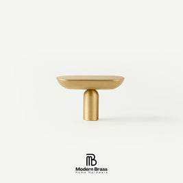 Flat lay display of capsule-shaped solid brass drawer handles and matching pill-profile T-knobs
