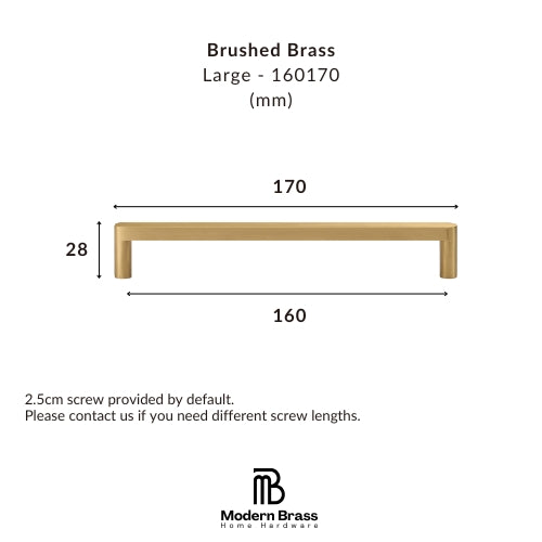 Technical dimension diagram of a brushed brass cabinet pull handle, labeled Large - 160170, showing width measurements of 170 and 160 mm, height of 28 mm, and product text for Modern Brass Home Hardware on a white background.
